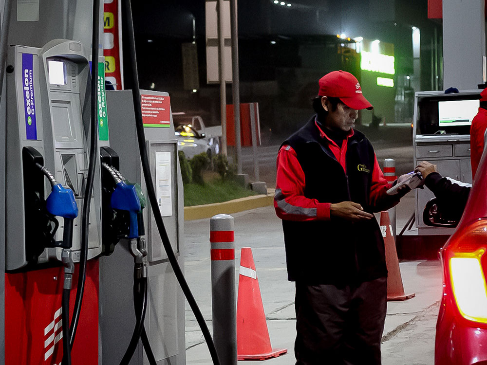 Grifo Gamarra Personal